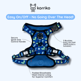 Essential Exploration No-Pull Harness Walk Set - Dino (3-Piece)