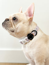 Dog Collar - Gummy Bear