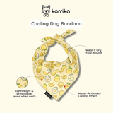 Ultimate Collar Bundle Set - Lemonade (5-Piece)