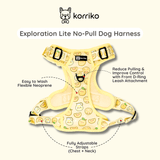 Essential Exploration No-Pull Harness Walk Set - Lemonade (3-Piece)
