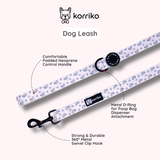 Ultimate Collar Bundle Set - Over The Rainbow (5-Piece)