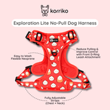 Essential Exploration No-Pull Harness Walk Set - Soup Dumpling (3-Piece)