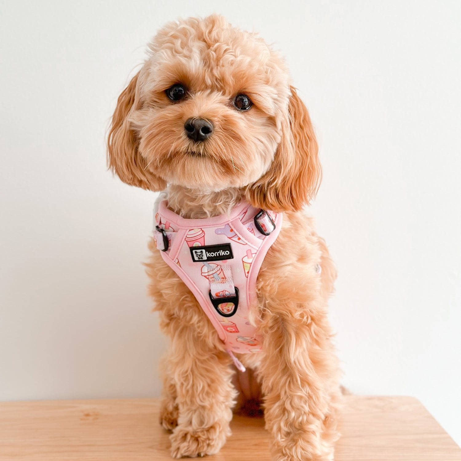 Ultimate Exploration No-Pull Harness Bundle Set - Taro Milk Tea (6-Piece)