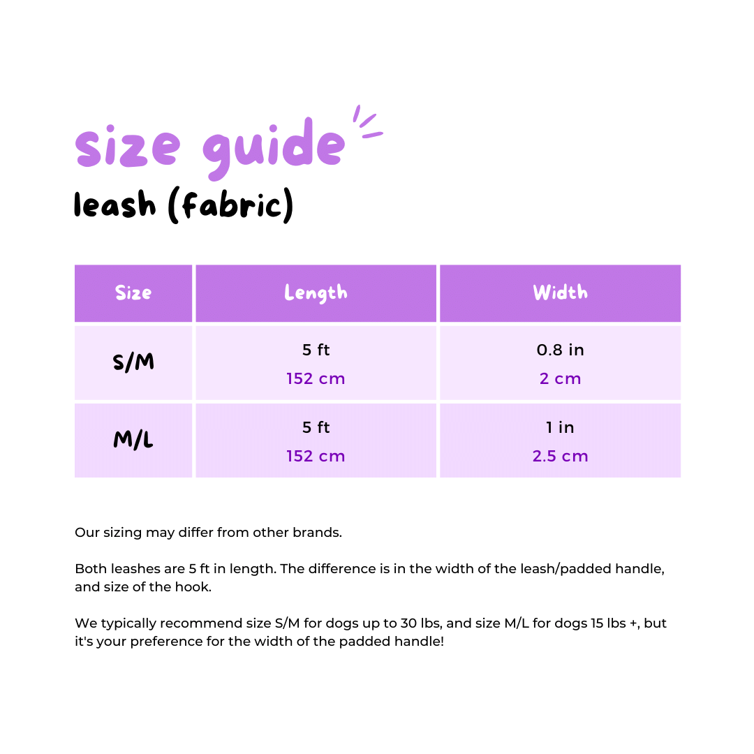 Ultimate Exploration No-Pull Harness Bundle Set - Lemonade (6-Piece)