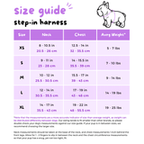 Ultimate Step-In Harness Bundle Set - Over The Rainbow (6-Piece)