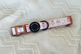 Dog Collar - Coffee Break (Final Sale)