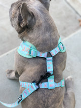 Adjustable Dog Harness - Dream Team (Final Sale)