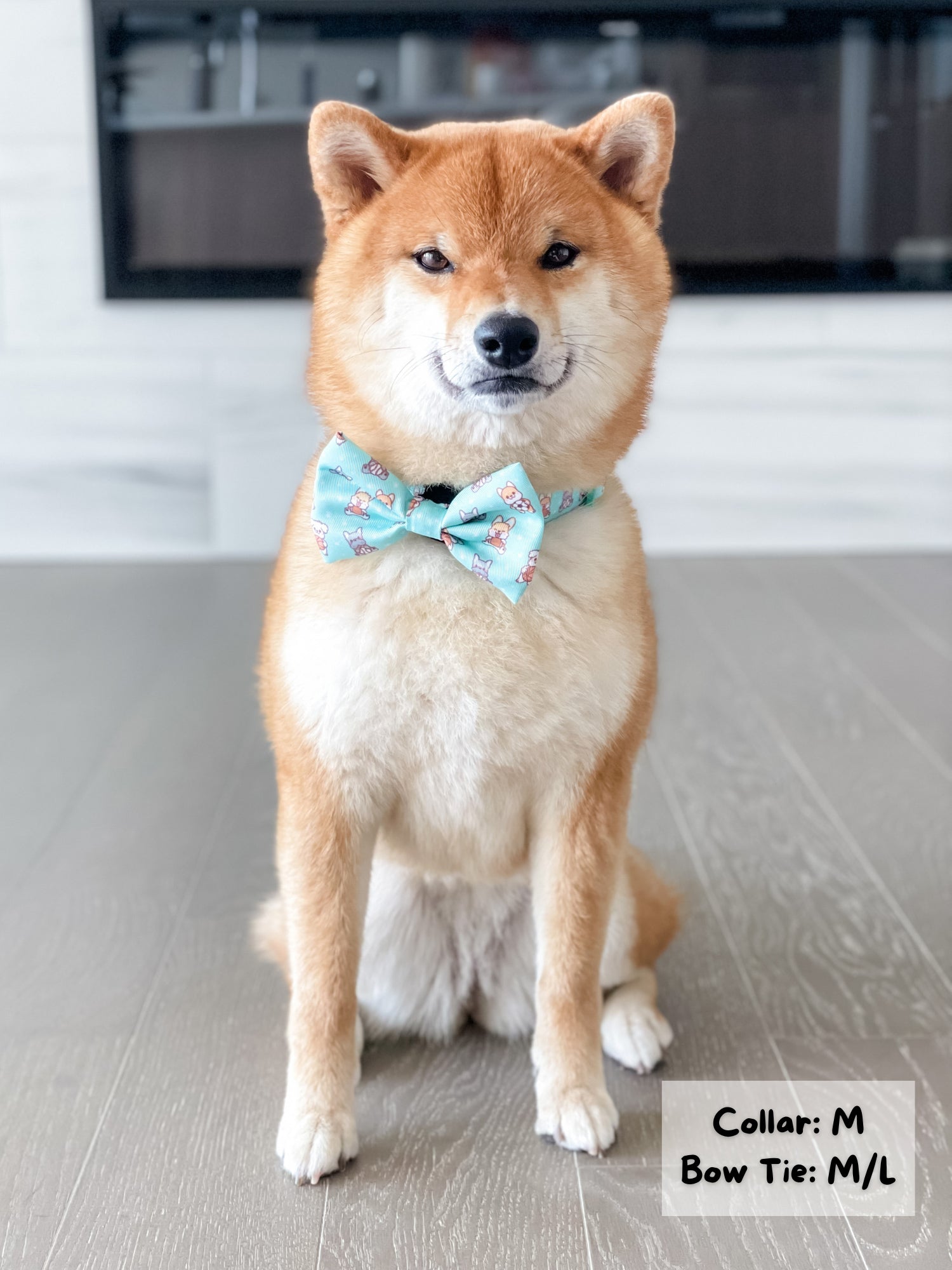 Ultimate Collar Bundle Set - Dream Team (5-Piece) (Final Sale)