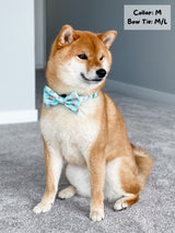 Dog Bow Tie - Dream Team (Final Sale)