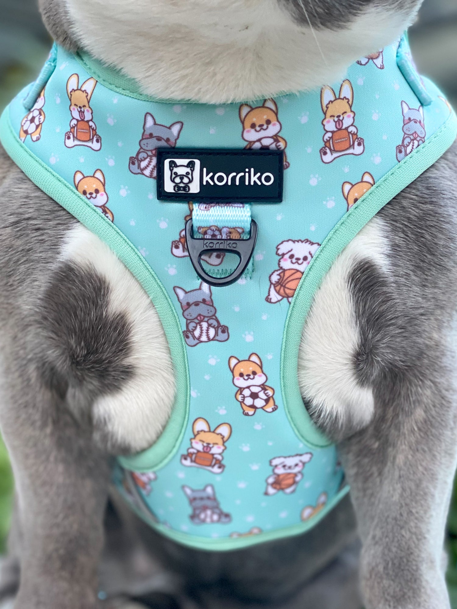 Adjustable Dog Harness - Dream Team (Final Sale)