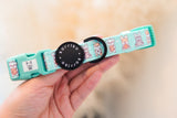 Dog Collar - Dream Team (Final Sale)