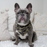 Cooling Dog Bandana - Green Camo (Final Sale)