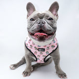 Reversible Dog Harness - Hearts & Horns (Blue Paw Co. - FINAL SALE)