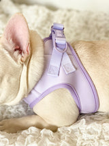 Step-In Dog Harness - Lilac (Final Sale)