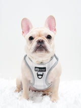 Step-In Dog Harness - Park City Plaid (Final Sale)