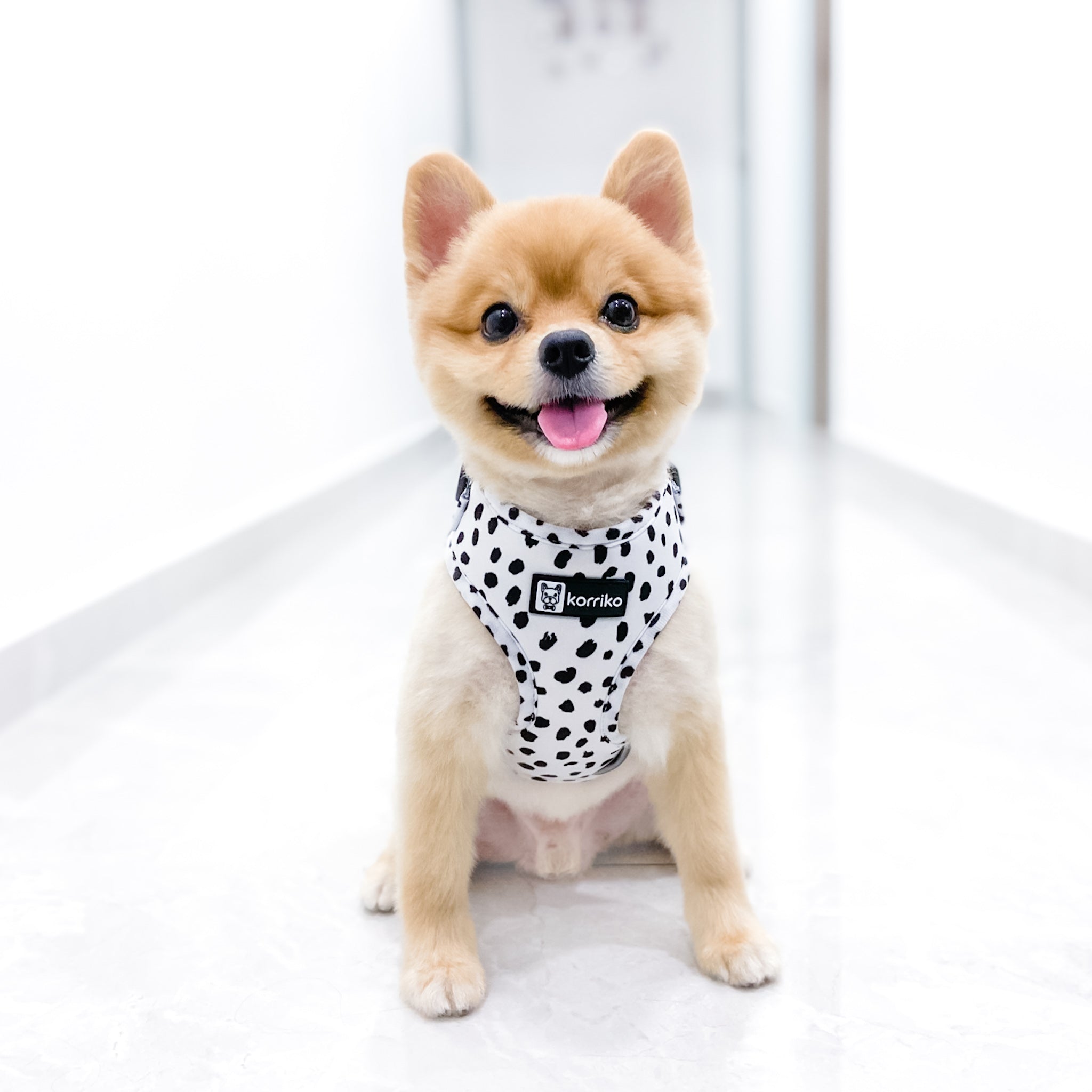 Adjustable Dog Harness - Spotted (SECONDS - FINAL SALE)