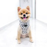 Adjustable Dog Harness - Spotted (SECONDS - FINAL SALE)