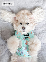 Adjustable Dog Harness - Dream Team (Final Sale)