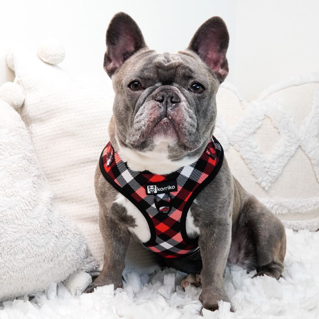 Adjustable Dog Harness - Red Plaid (SECONDS - FINAL SALE)