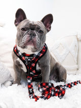 Dog Leash - Red Plaid (Final Sale)