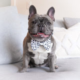 Dog Bow Tie - Spotted (SECONDS - FINAL SALE)