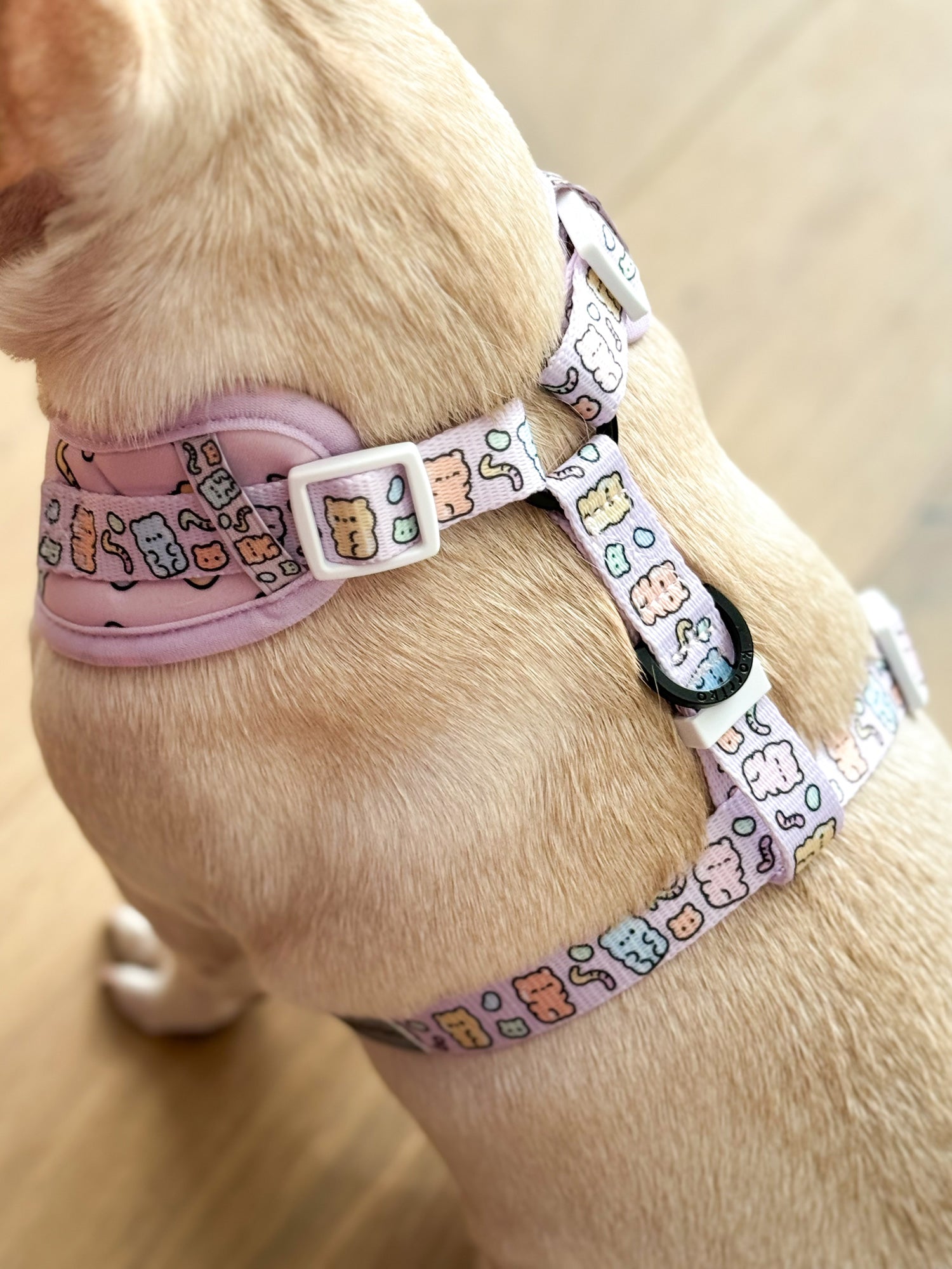 Adjustable Dog Harness - Gummy Bear