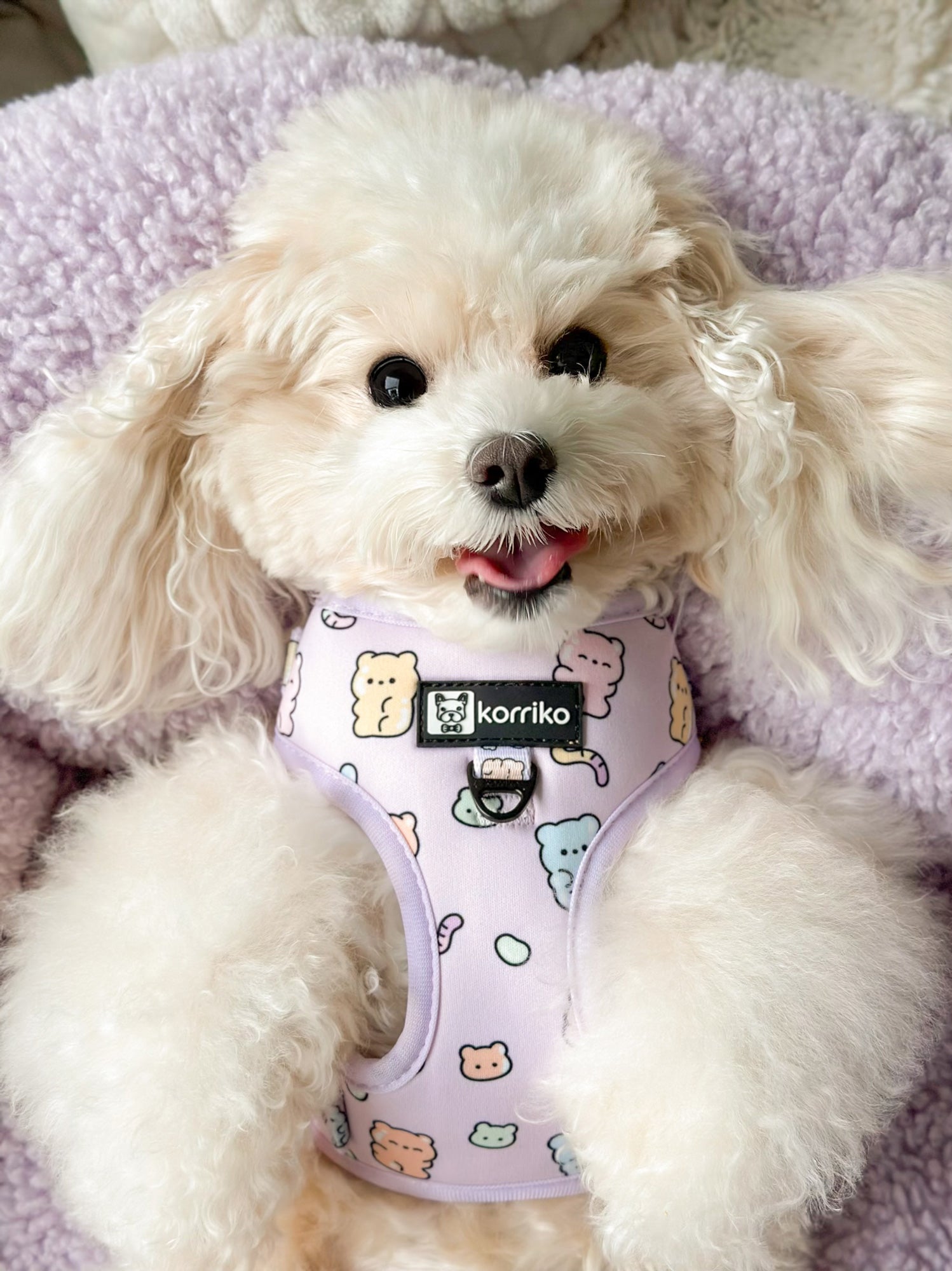 Essential Adjustable Harness Walk Set - Gummy Bear (3-Piece)