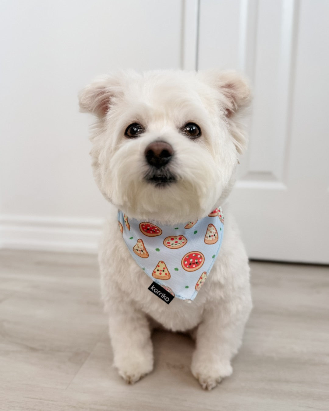 Cooling Dog Bandana - Pizza