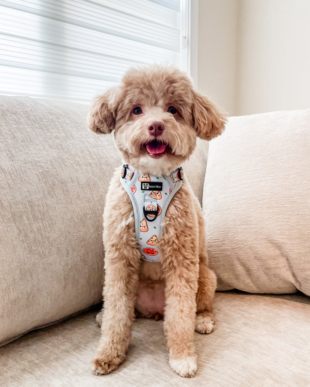 Essential Exploration No-Pull Harness Walk Set - Pizza (3-Piece)