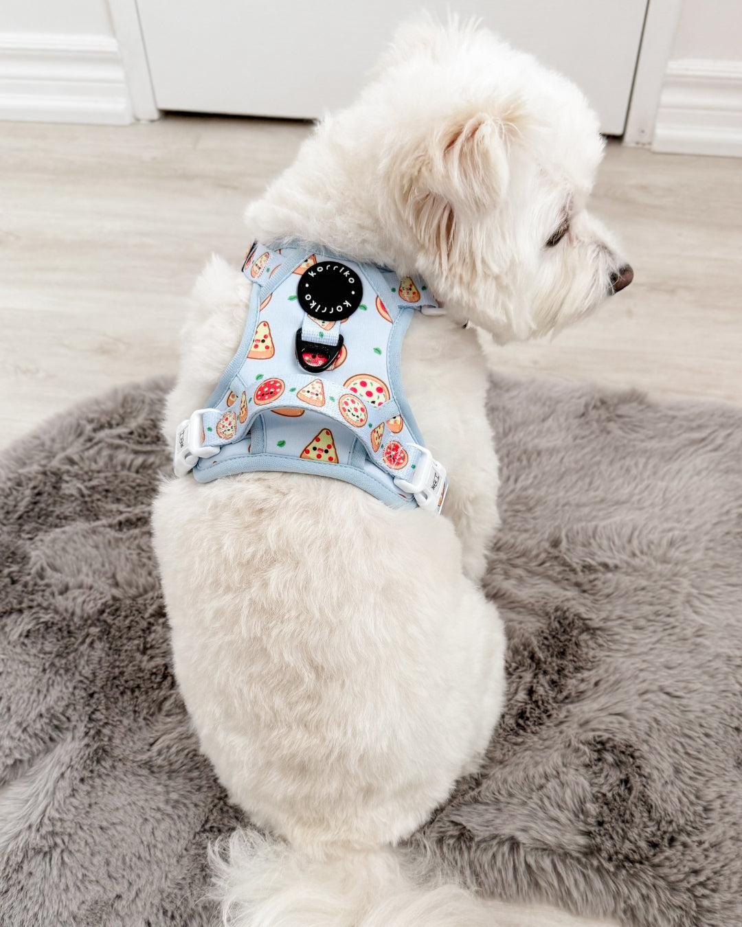 Exploration Lite No-Pull Dog Harness - Pizza