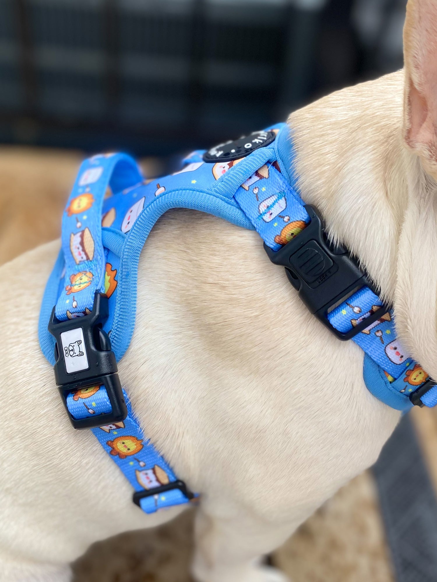 Exploration Lite No Pull Dog Harness S mores Korriko Pet Supply