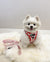 Step-In Dog Harness - Strawberries & Cream