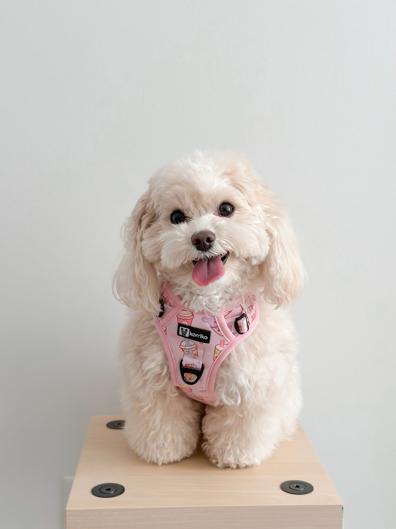 Essential Exploration No-Pull Harness Walk Set - Taro Milk Tea (3-Piece)