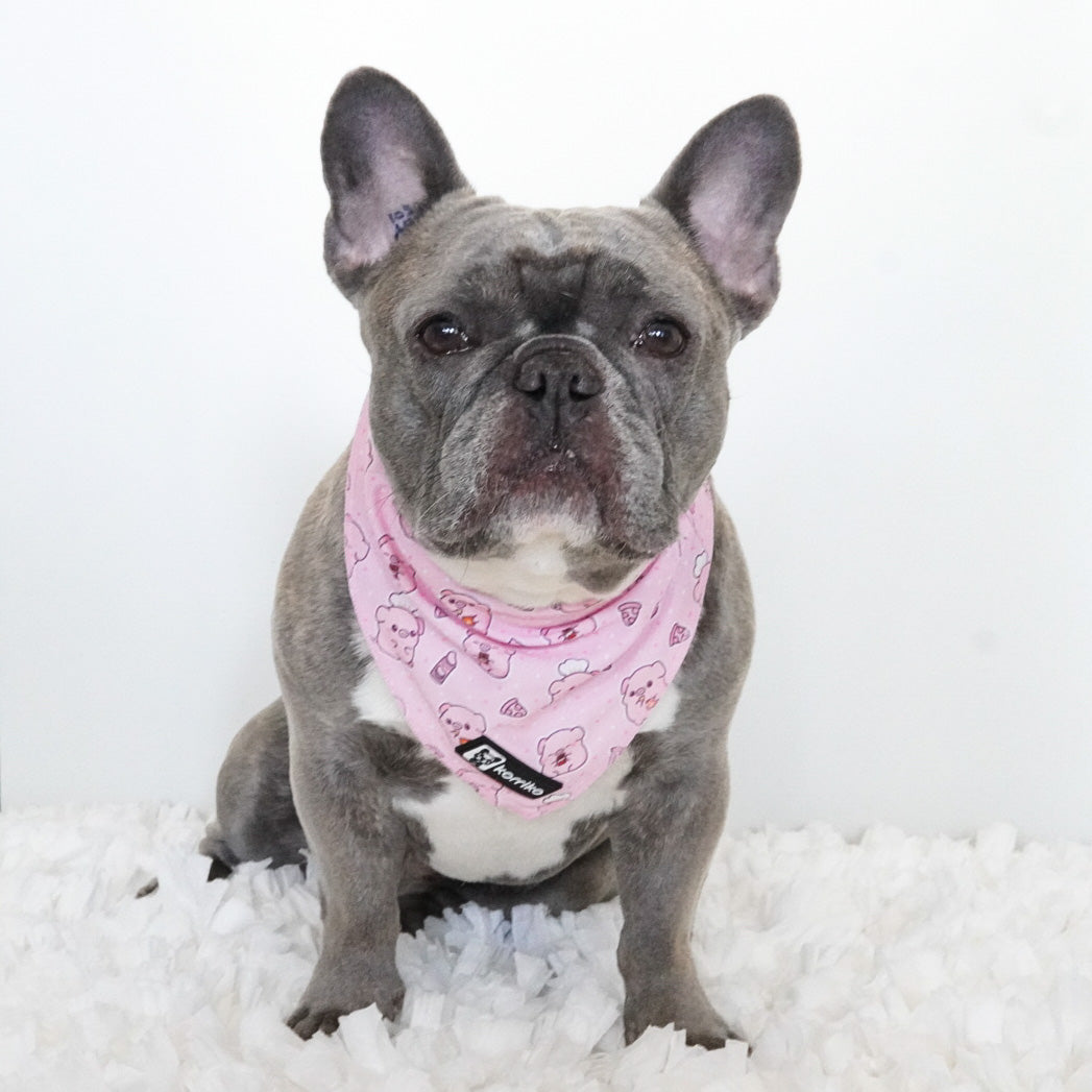 Cooling Dog Bandana - Piggin' Out (SECONDS - FINAL SALE)