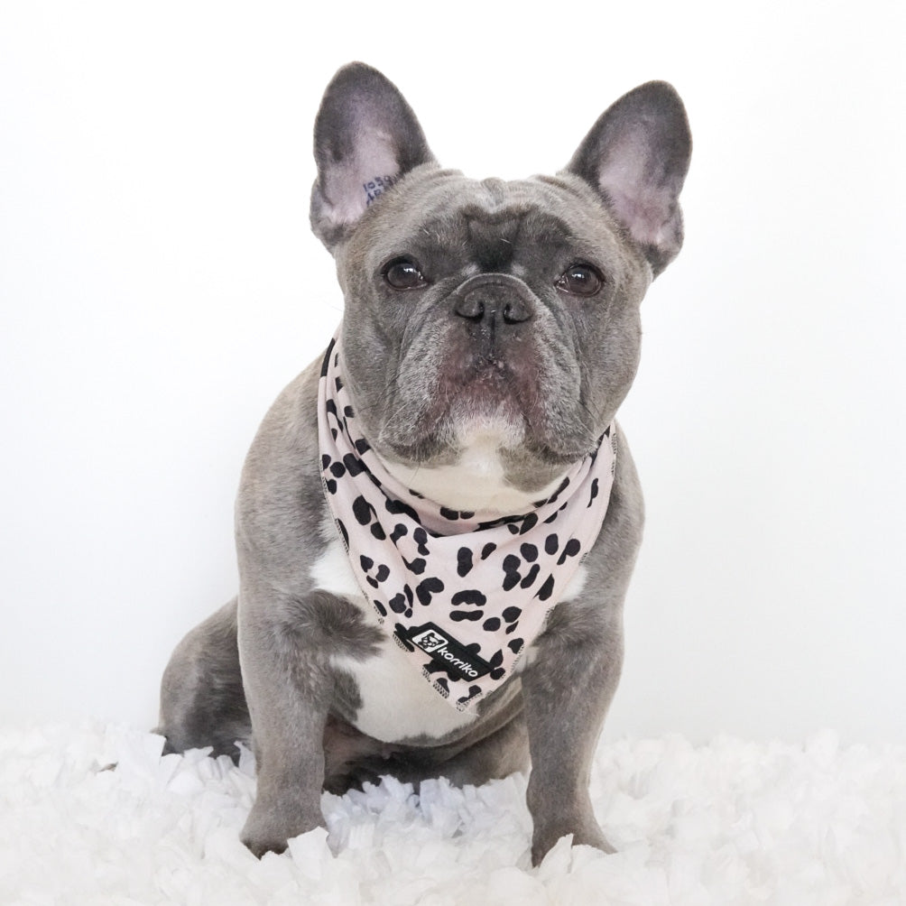 Cooling Dog Bandana - Leopard (SECONDS - FINAL SALE)