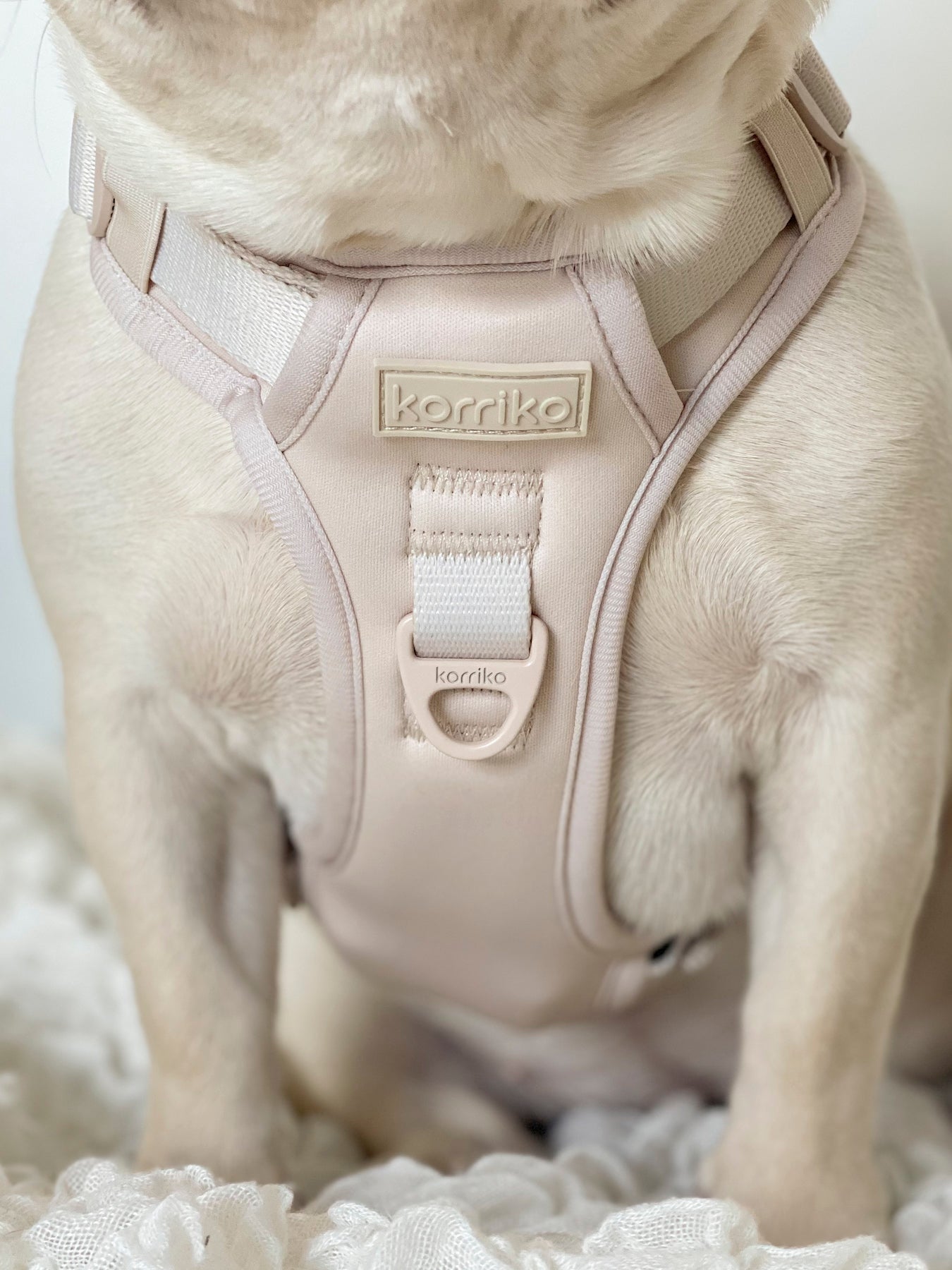 Exploration Lite No-Pull Dog Harness - Almond Nude (Final Sale)