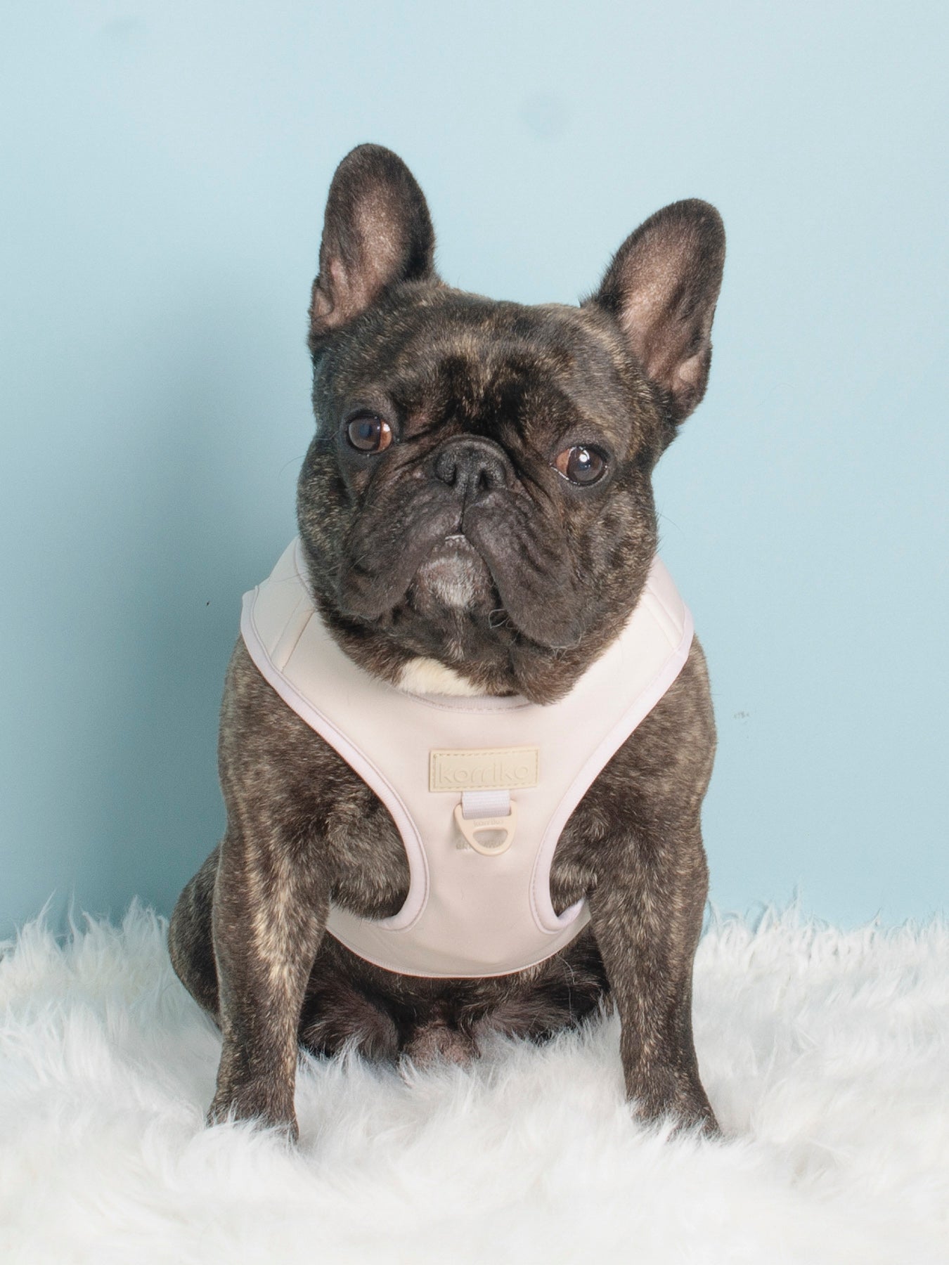 Step-In Dog Harness - Almond Nude