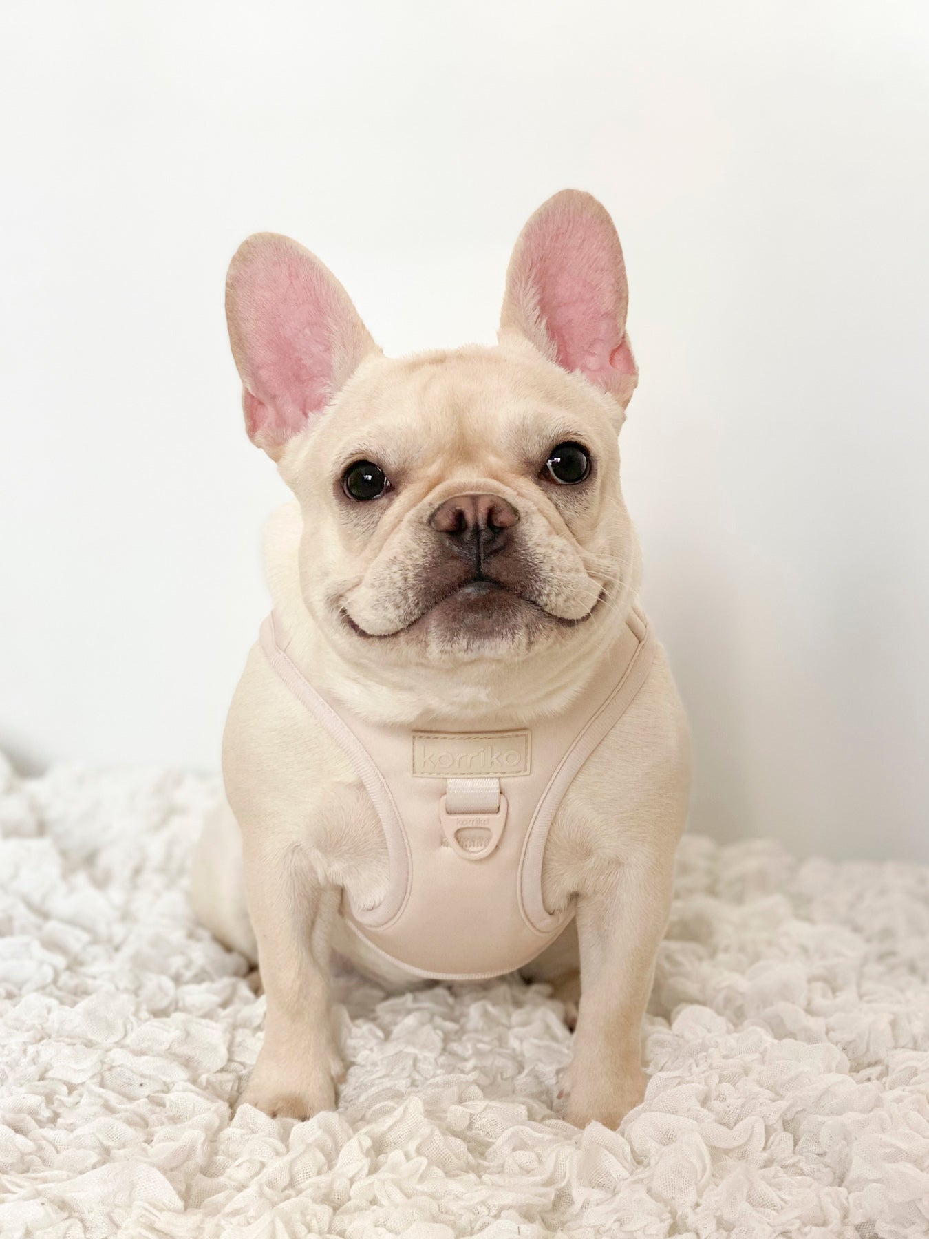 Step-In Dog Harness - Almond Nude (Final Sale)