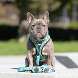 Adjustable Dog Harness - Safari (Final Sale)