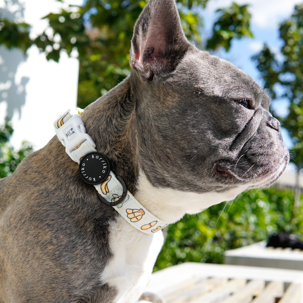 Dog Collar - Go Bananas (Final Sale)