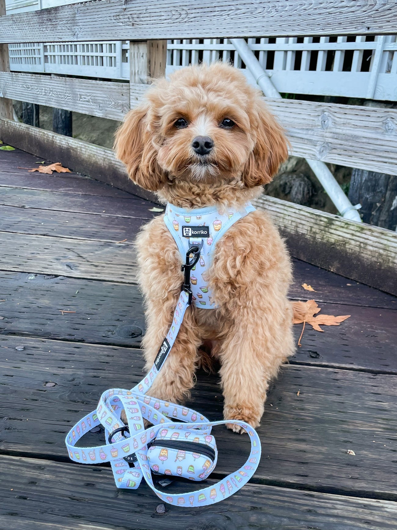 Ultimate Harness Bundle Set - Boba (Step-In)