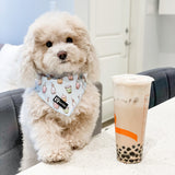 Ultimate Harness Bundle Set - Boba (Step-In)