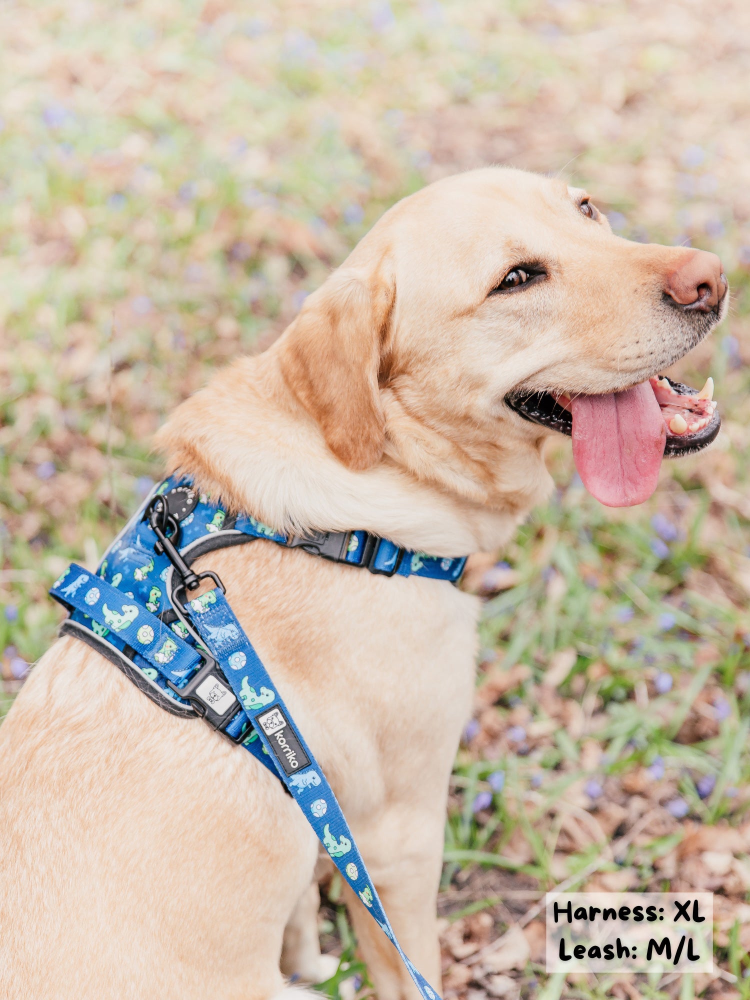 Exploration Lite No-Pull Dog Harness - Dino