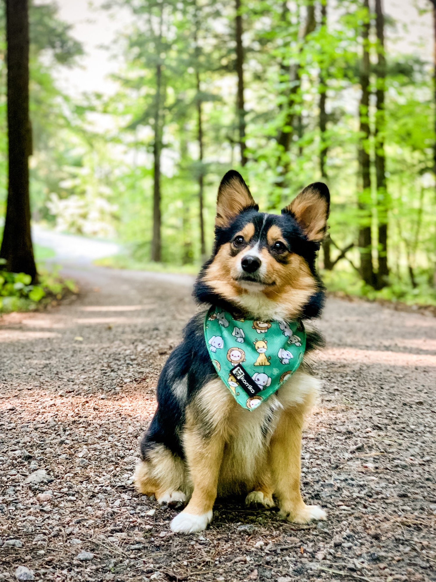 Cooling Dog Bandana - Safari