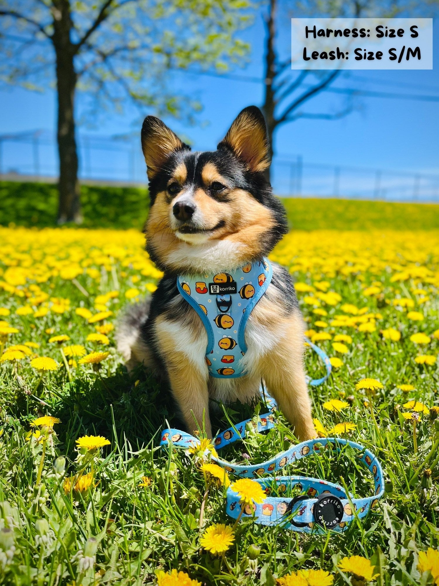 Adjustable Dog Harness - Honeybee (SECONDS - FINAL SALE)