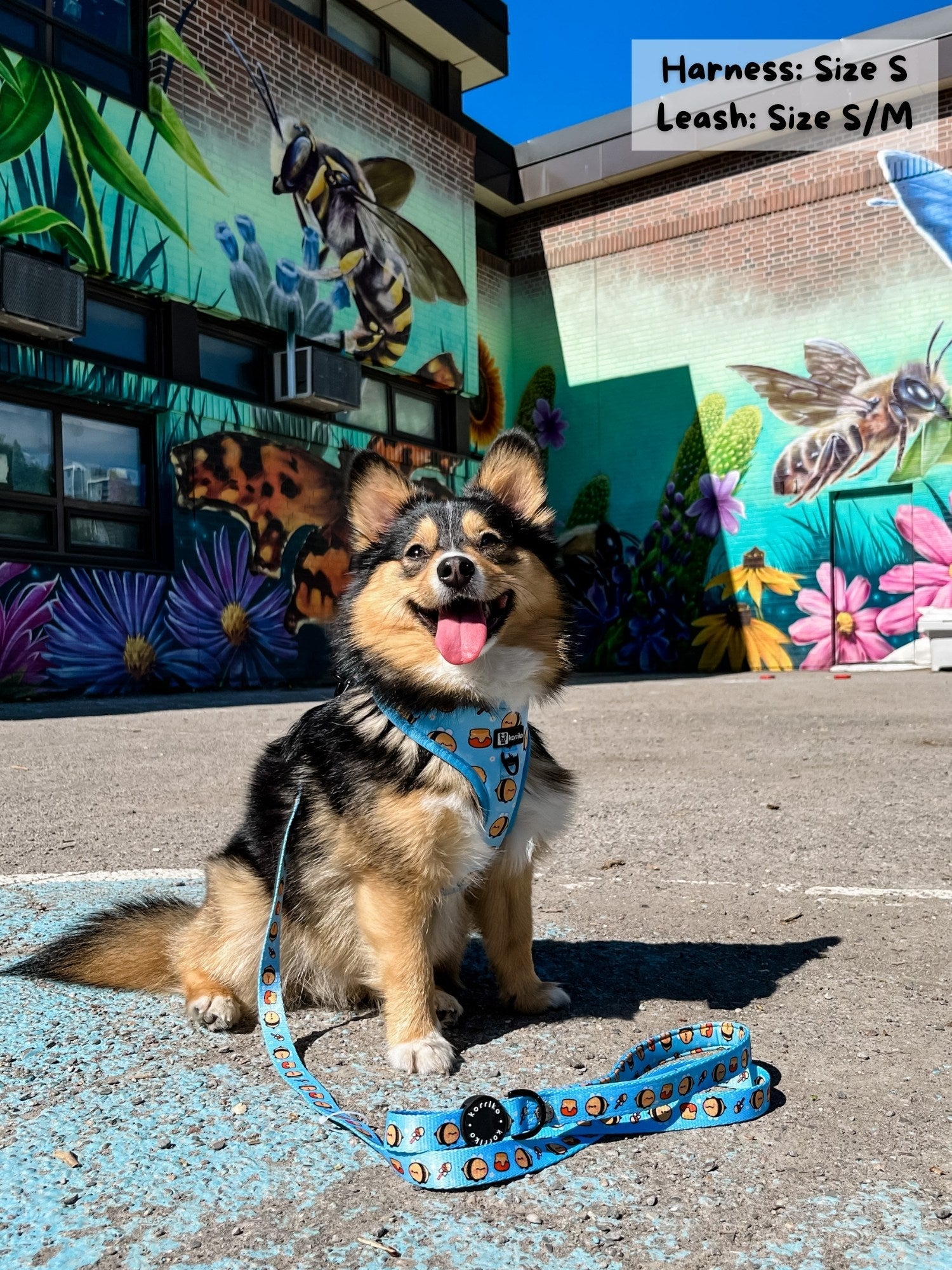 Adjustable Dog Harness - HoneyBee