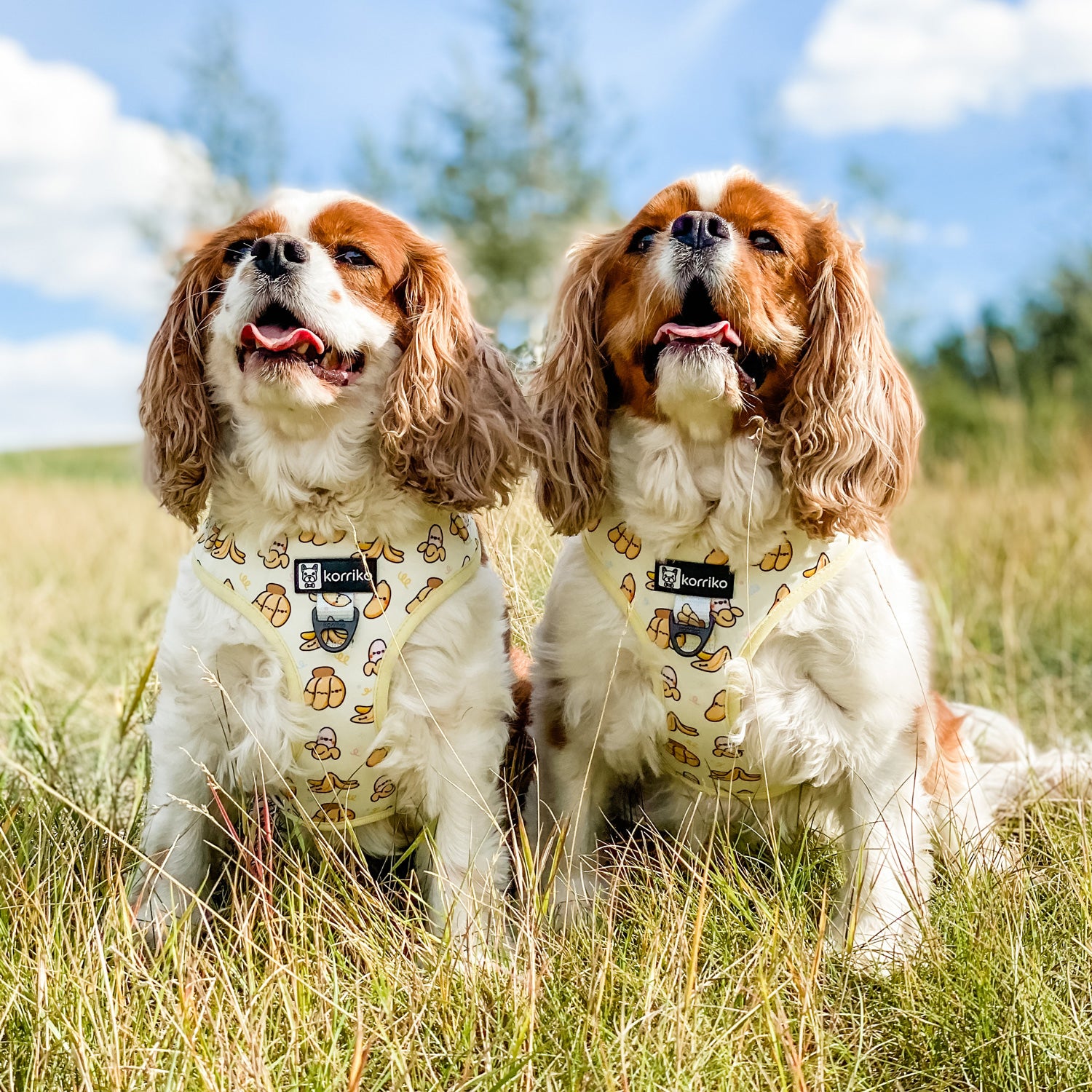 Adjustable Dog Harness - Go Bananas