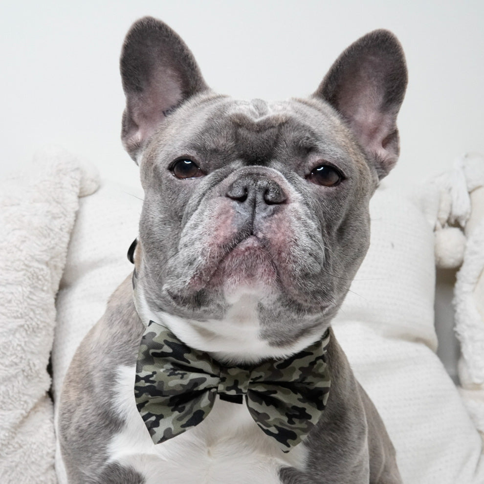Dog Bow Tie - Green Camo (Final Sale)
