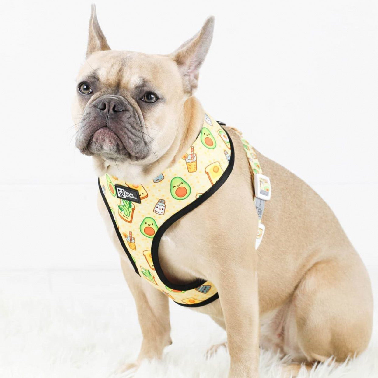 Reversible Dog Harness - Avocado Toast (BPC - SECONDS - FINAL SALE)