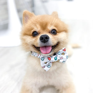 Dog Collar - Feel The Love